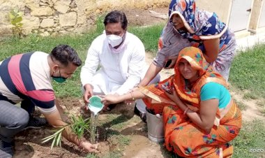 मालाखेड़ा सरकारी स्कूल मालाखेड़ा में सरपंच ने किया पौधरोपण