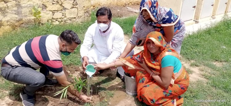 मालाखेड़ा सरकारी स्कूल मालाखेड़ा में सरपंच ने किया पौधरोपण