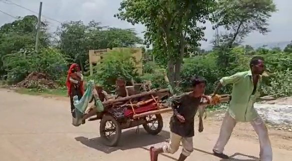 कोरोना ने छीना रोजगार गरीब गाडिया लोहार अपने कंधों पर बैलों की जगह परिवार की गाड़ी को खींच रहा है