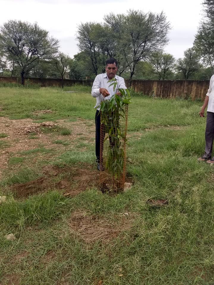 सीकर खंडेला:  राजकीय माध्यमिक विद्यालय सलेदीपुरा स्टाफ ने 55 पौधे लगाए