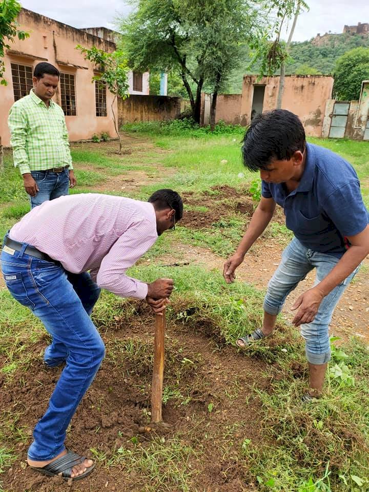 सीकर खंडेला:  राजकीय माध्यमिक विद्यालय सलेदीपुरा स्टाफ ने 55 पौधे लगाए