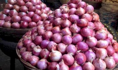 अलवर: जिले के लाल प्याज की मांग पूरे देश में