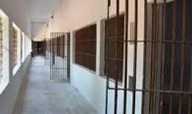 ऑपरेशन फ्लैश आउट: राजस्थान की जेलों में 26 मोबाइल और 14 सिम बरामद