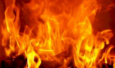 दिल्ली के मायापुरी में मास्क बनाने की फैक्ट्री में आग लगने से एक की मौत