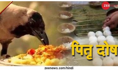Pitru Paksha 2022: आज से शुरू हुए श्राद्ध, पितृ दोष से मुक्ति के लिए 25 सितंबर तक नियमित करें ये आसान उपाय
