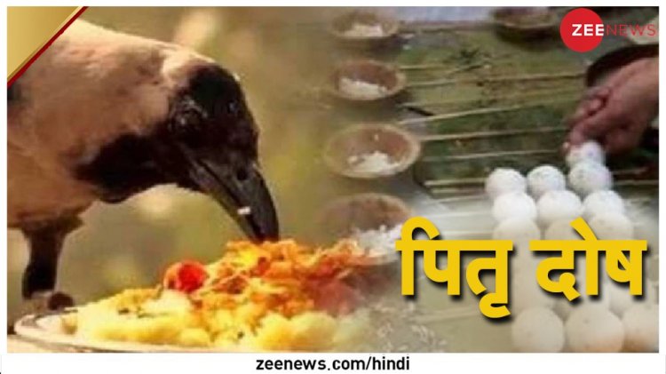Pitru Paksha 2022: आज से शुरू हुए श्राद्ध, पितृ दोष से मुक्ति के लिए 25 सितंबर तक नियमित करें ये आसान उपाय