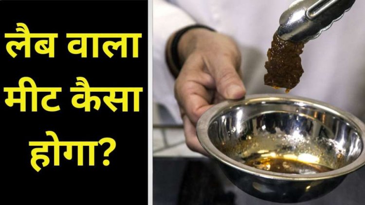 Clean Meat: सामान्य मांस से कितना अलग है लैब वाला मीट, जानिए क्यों हो रही है दुनिया भर में चर्चा