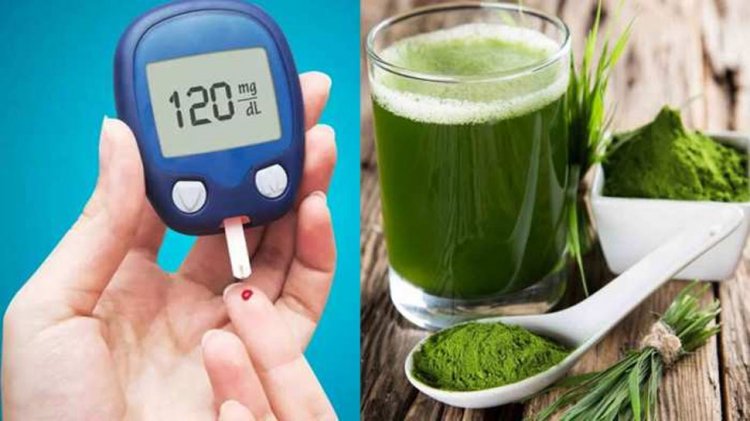 Health Tips: डायबिटीज से हैं परेशान, सुबह खाली पेट इन जूस का करें सेवन; दिनभर रहेंगे टेंशन फ्री