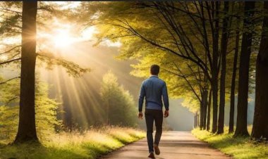 मॉर्निंग वॉक का सही तरीका क्या है? जानिए सुबह की सैर से पहले क्या करें और क्या नहीं