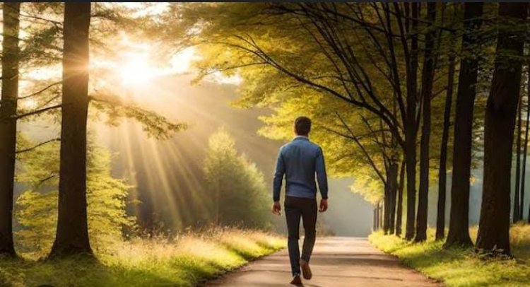 मॉर्निंग वॉक का सही तरीका क्या है? जानिए सुबह की सैर से पहले क्या करें और क्या नहीं