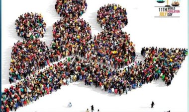 दुनिया की आबादी 1 साल में 7.5 करोड़ बढ़ी:दावा- 1 जनवरी को 8 अरब के पार होगी; हर सेकेंड पैदा हो रहे 4.3 बच्चे