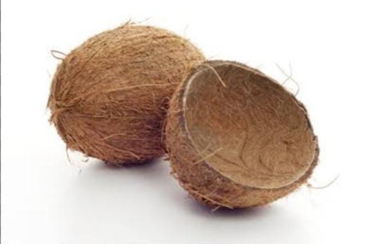 नारियल पानी पीने के बाद ऐसे करें उसके शेल को रीयूज