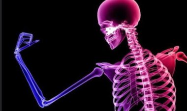 हड्डियों को मजबूत बनाते हैं ये 5 फूड्स, रोजाना खाना कर दिया शुरू तो Strong Bones पा लेंगे आप