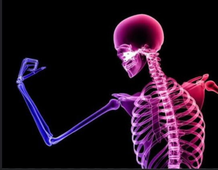 हड्डियों को मजबूत बनाते हैं ये 5 फूड्स, रोजाना खाना कर दिया शुरू तो Strong Bones पा लेंगे आप