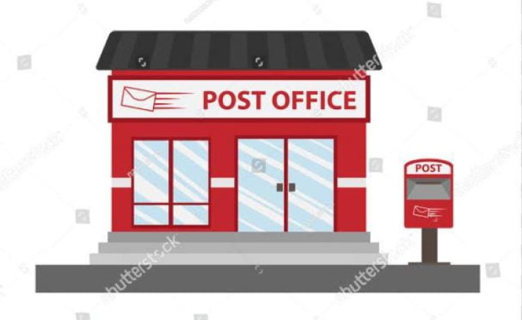 कम समय में चाहिए जबरदस्‍त मुनाफा तो बेस्‍ट हैं ये ऑप्‍शन, 5 साल में मिलेगा तगड़ा रिटर्न