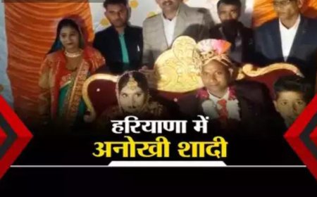 ना पंडित- ना मंत्र, फेरे भी नहीं हुए... हरियाणा के नूंह में हुई अनोखी शादी, हर जगह हो रही चर्चा