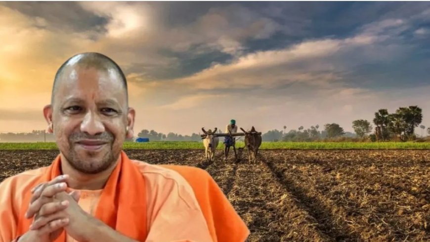 किसानों की बल्ले-बल्ले! यूपी में इन 9 फसलों पर मिलेगा KCC और बीमा का फायदा