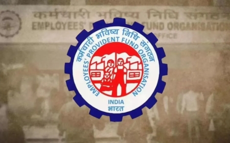 PF निकालने के लिए नहीं करना होगा लंबा इंतजार, UPI से मिनटों में निकलेगा पैसा; EPFO 3.0 में मिलेंगी ये सारी सुविधाएं