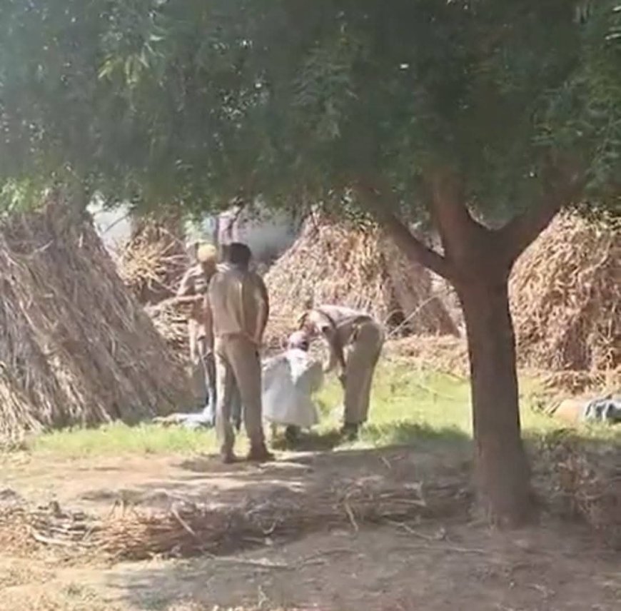 जिला डीग के जनूथर थाना क्षेत्र के बडेसरा गांव में मंगलवार सुबह 13 साल के जुड़वां भाइयों की मौत