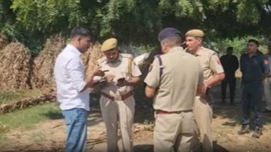 जिला डीग के जनूथर थाना क्षेत्र के बडेसरा गांव में मंगलवार सुबह 13 साल के जुड़वां भाइयों की मौत